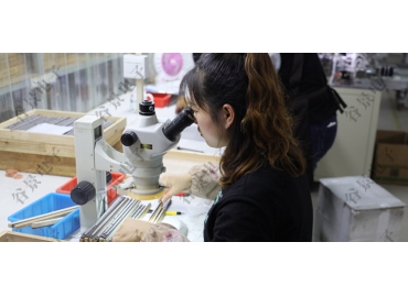 貼片共模電感方向如何區(qū)分你知道嗎？